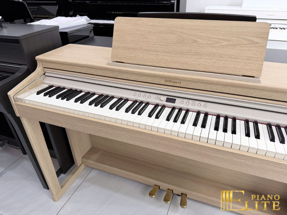 ROLAND RP-701 LO (USED) – Mặt sau và hệ thống dây đàn Roland
