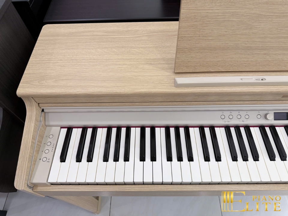 ROLAND RP-701 LA (USED)