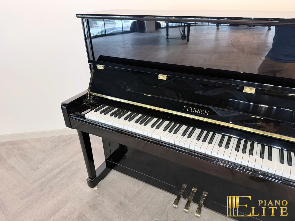 FEURICH 122 Universal (Black Polished - Brass)