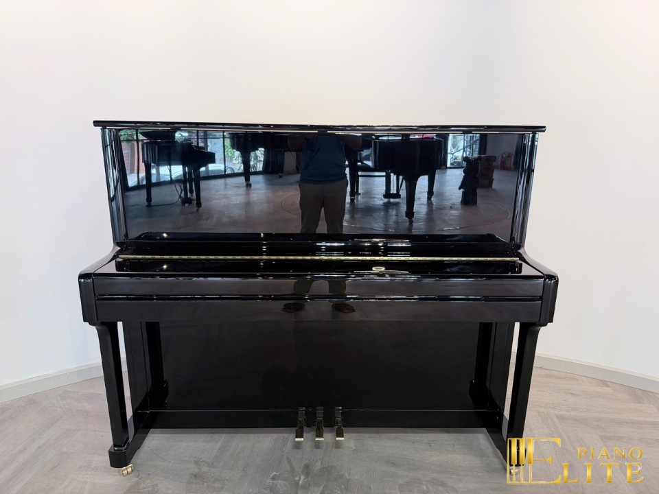 FEURICH 122 Universal (Black Polished - Brass)