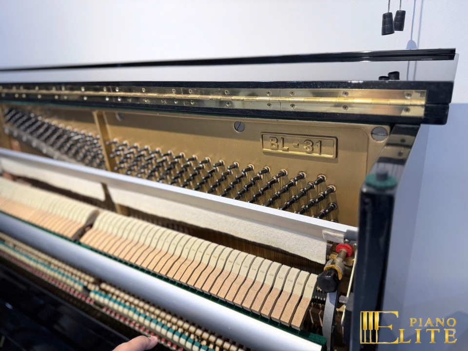KAWAI BL31