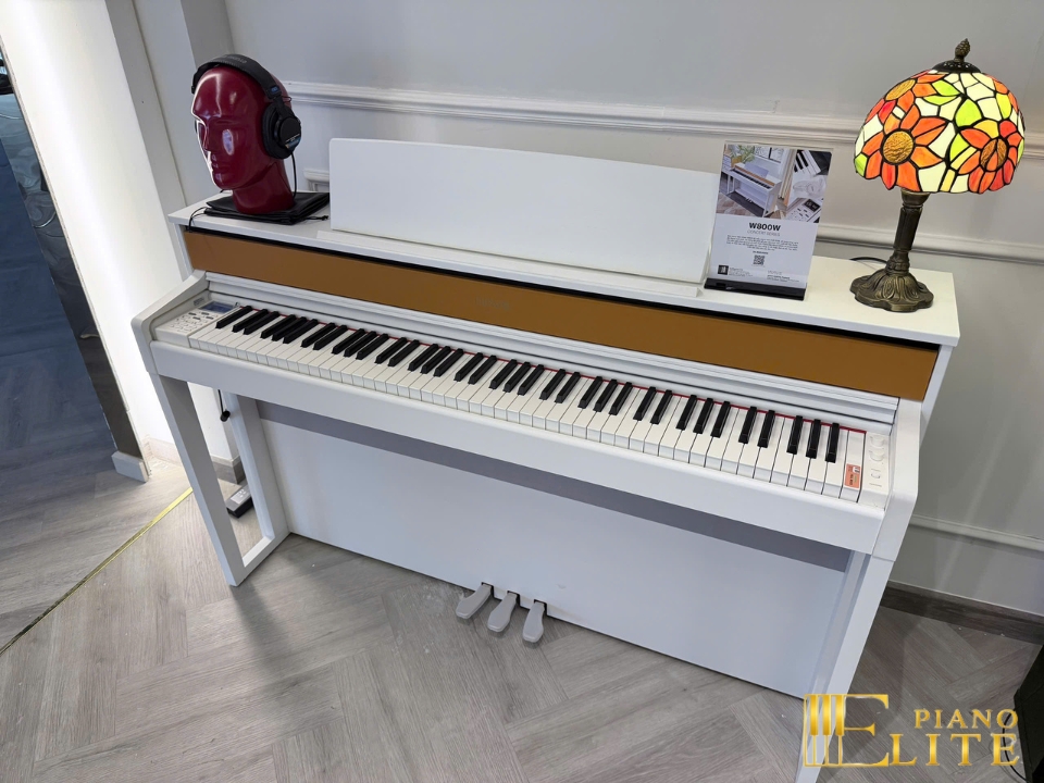 Wave W800-W Concert Series | Công nghệ âm thanh Hi-Tech mới nhất 2026