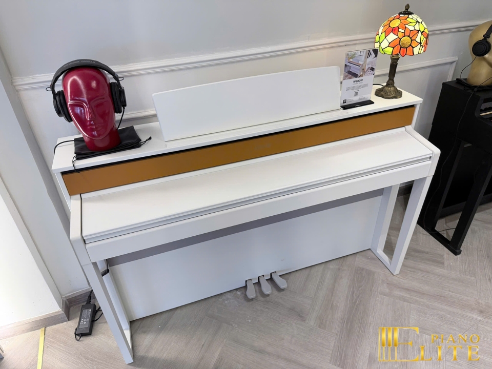 Wave W800-W Concert Series | Công nghệ âm thanh Hi-Tech mới nhất 2026