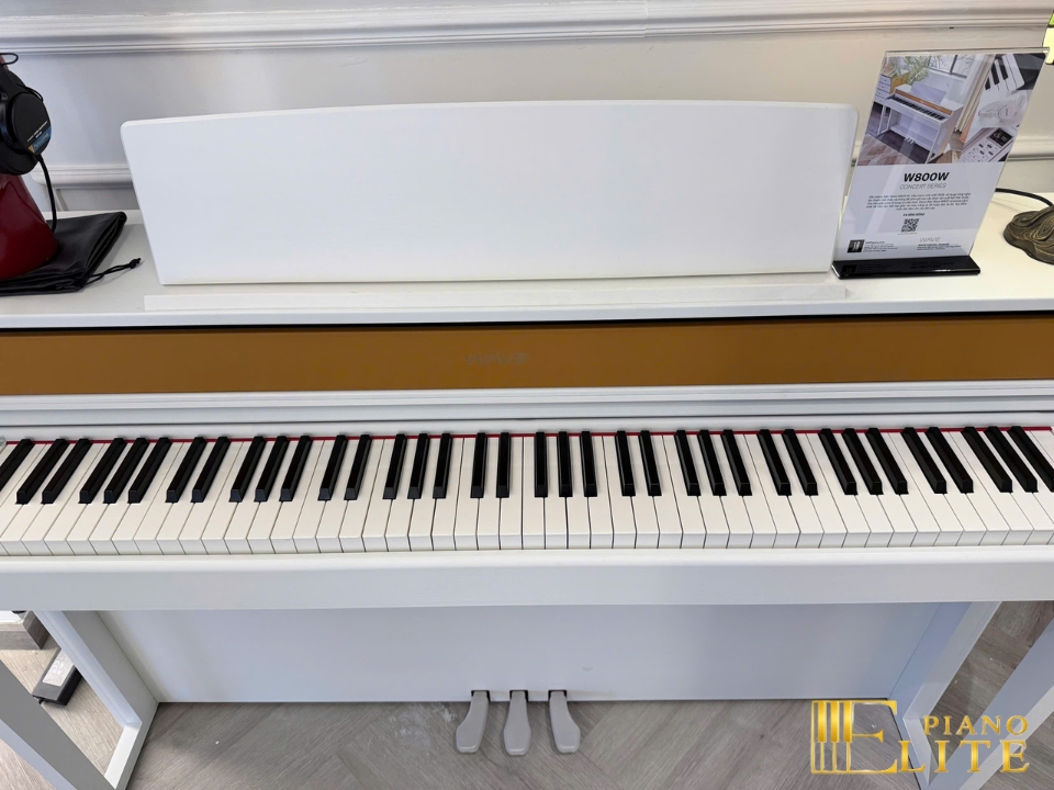 Wave W800-W Concert Series | Công nghệ âm thanh Hi-Tech mới nhất 2026