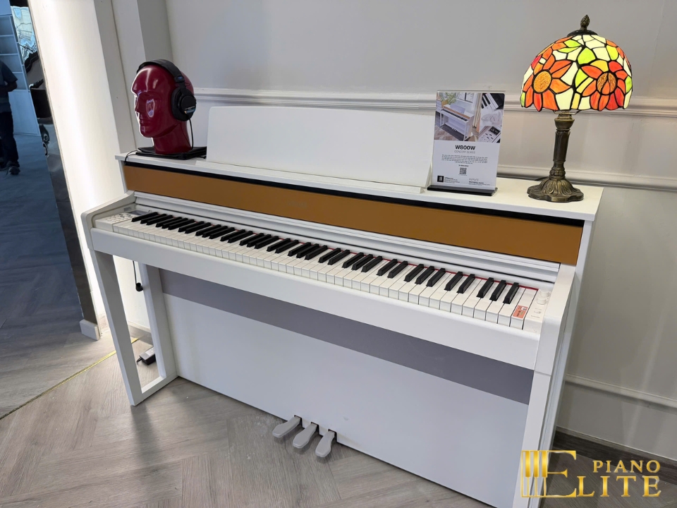 Wave W800-W Concert Series | Công nghệ âm thanh Hi-Tech mới nhất 2026
