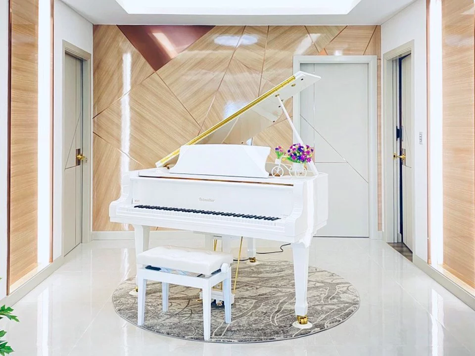 Ritmuller GDRS160 (+Piano Disc) - Đàn Piano Ritmüller tại Elite Piano