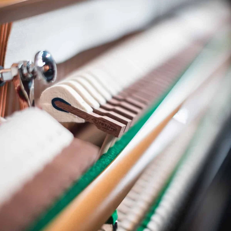 Đàn piano Ritmuller RS122 Walnut Burl tại showroom Elite Piano