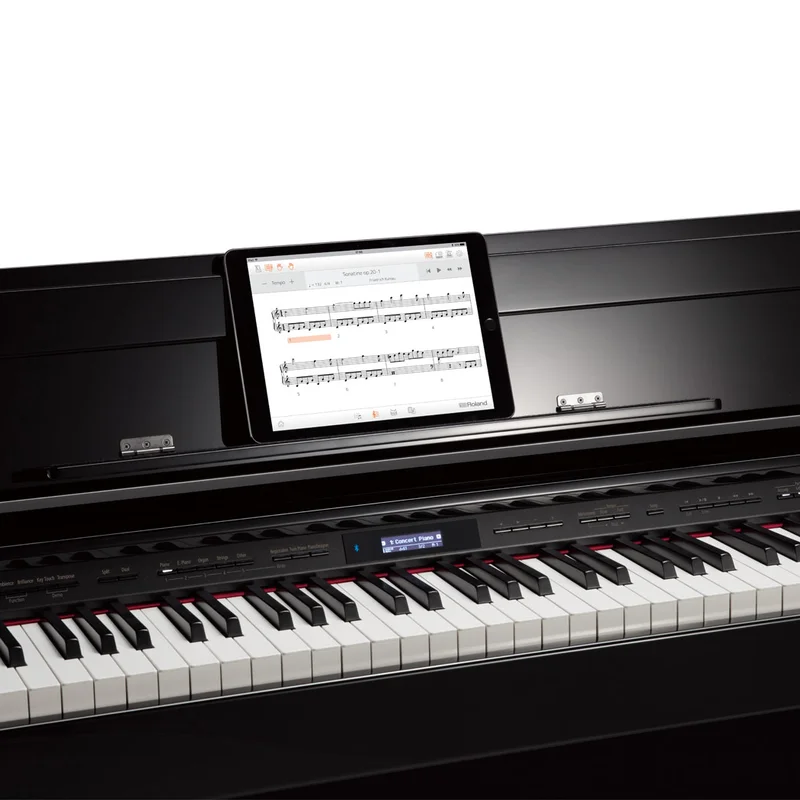 ROLAND DP-603 PW