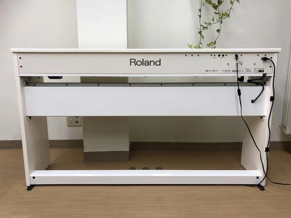 ROLAND DP-90Se PWS