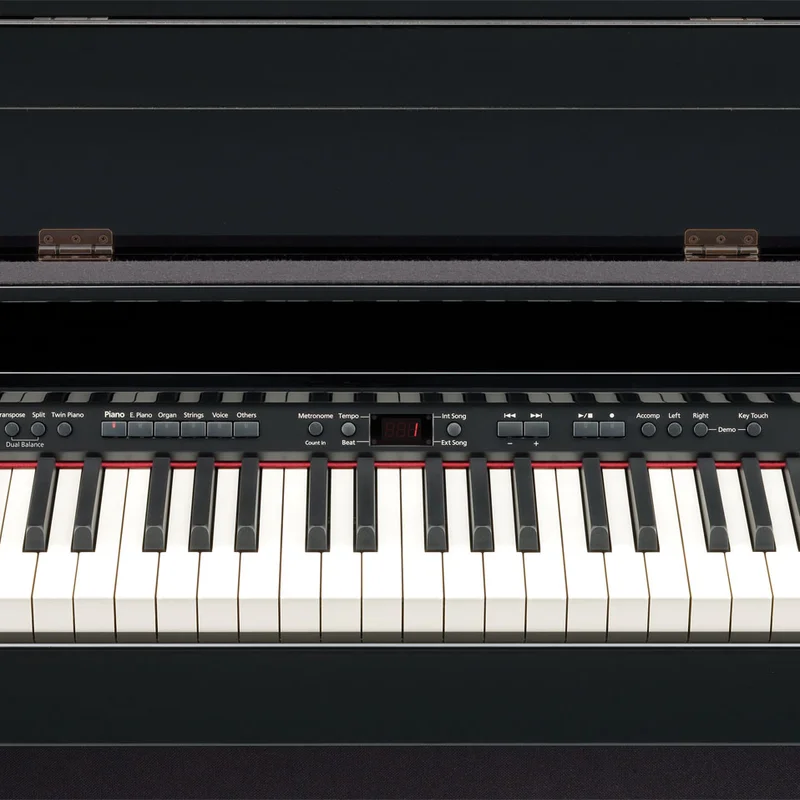 ROLAND DP-990