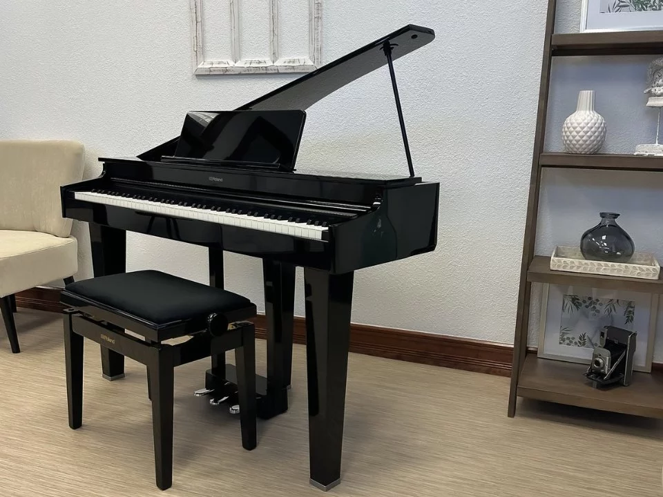 ROLAND GP-3 PE