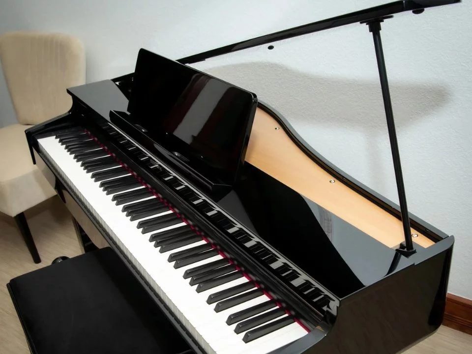 ROLAND GP-3 PE