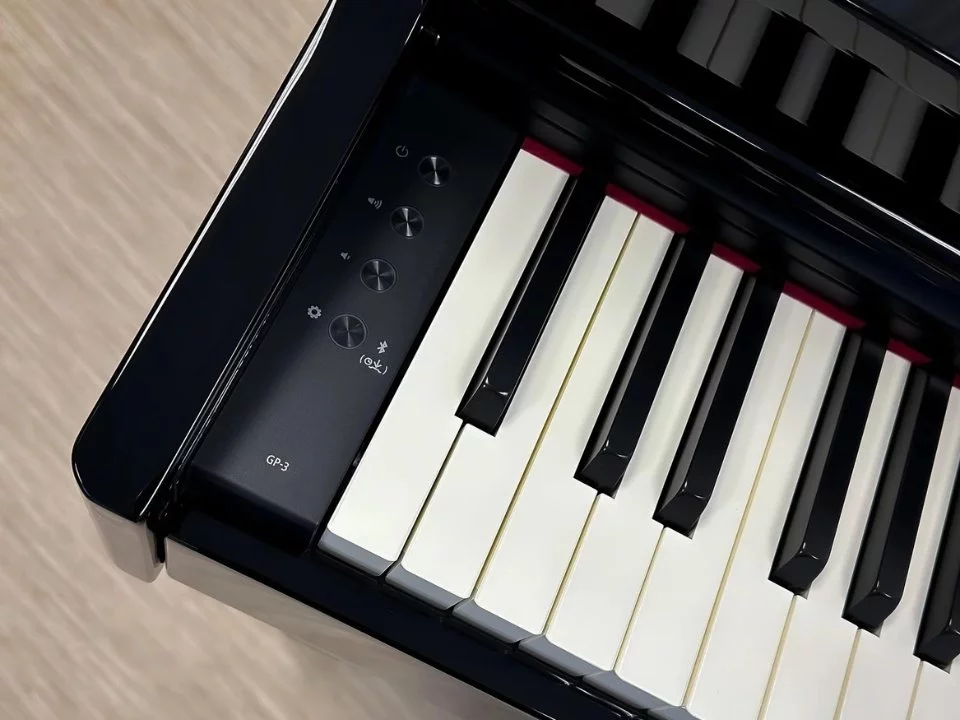 ROLAND GP-3 PE