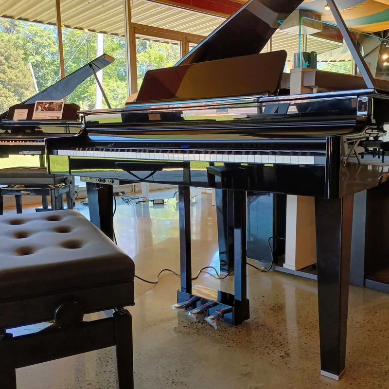 ROLAND GP-6 PE