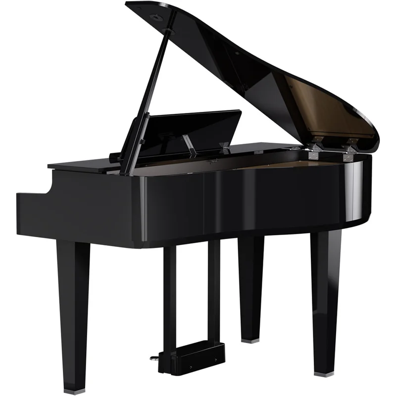 ROLAND GP-6 PE