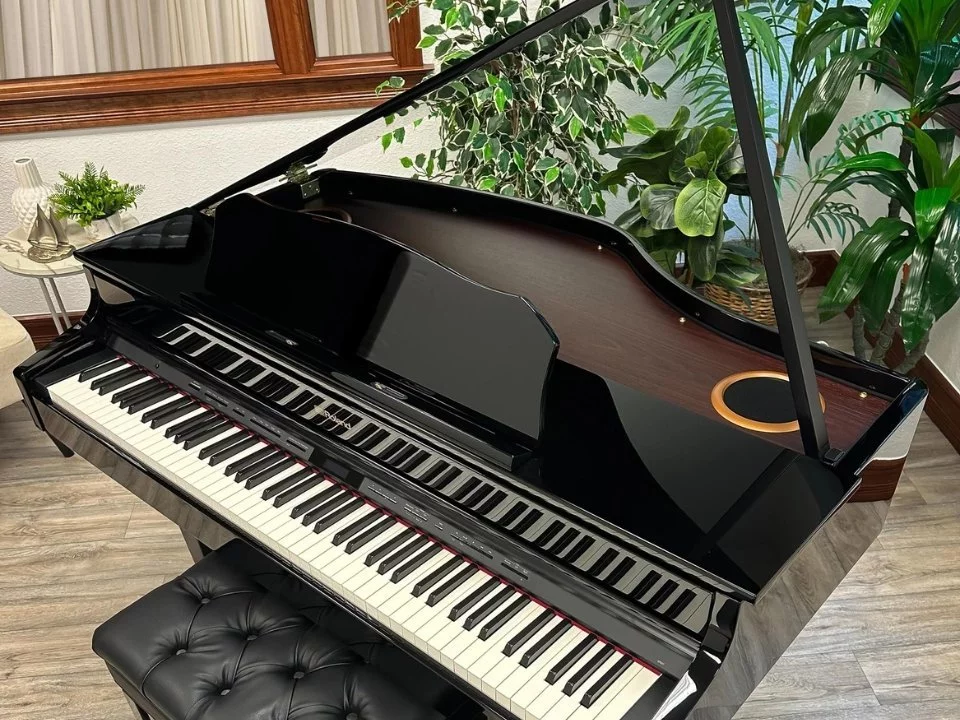 ROLAND GP-607 PE – Mặt sau và hệ thống dây đàn Roland