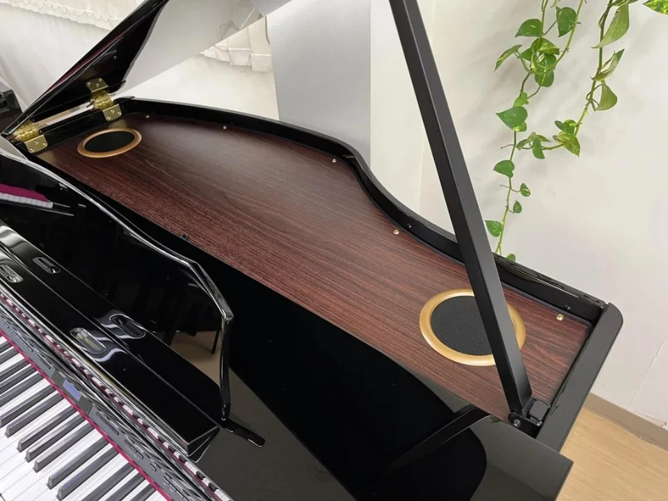 ROLAND GP-607 PE tại Elite Piano TP.HCM – Không gian trưng bày