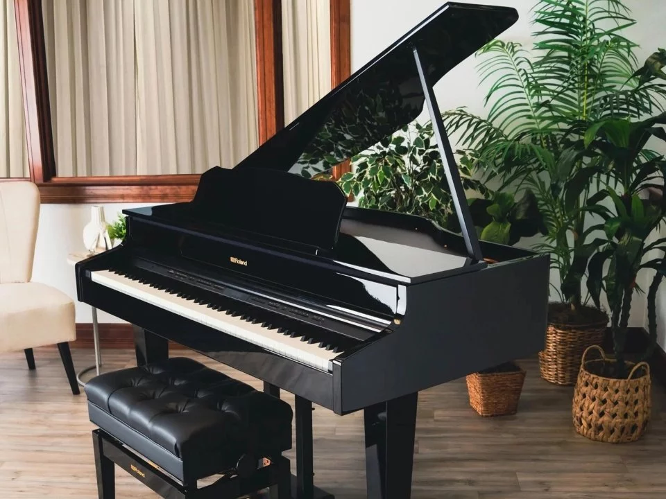 ROLAND GP-607 PE