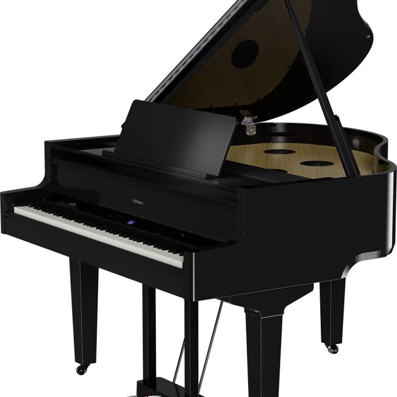 ROLAND GP-9 PE (USED)