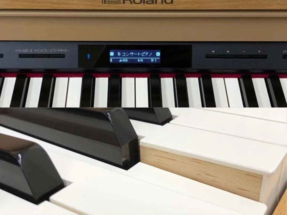 ROLAND HP-601 LW