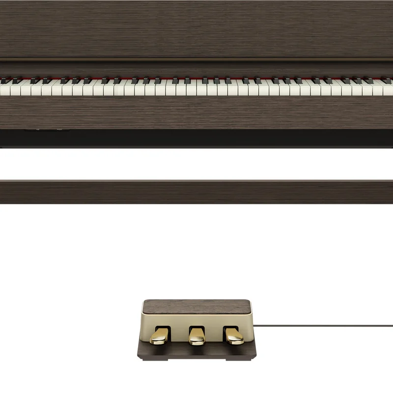 Review ROLAND Kiyola KF-25 KSO – Hình ảnh thực tế tại showroom Elite Piano