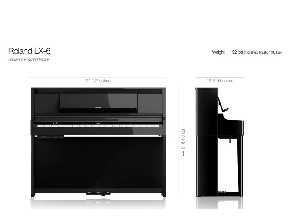ROLAND LX-6 CB – Mặt sau và hệ thống dây đàn Roland