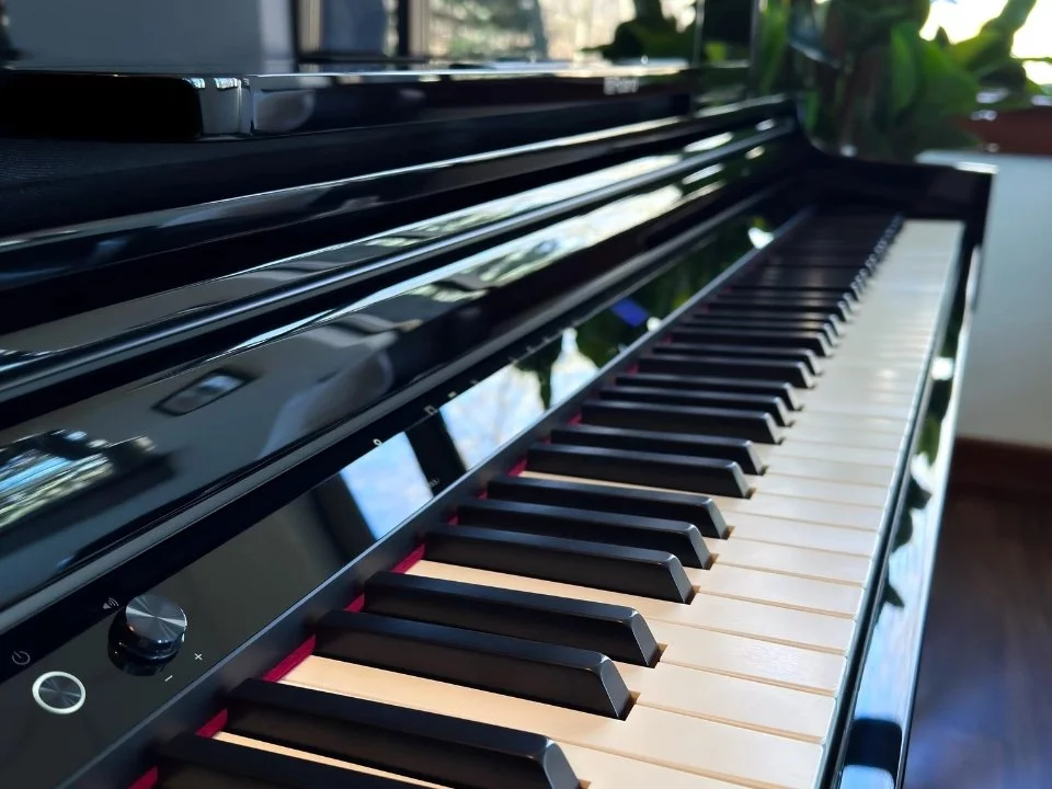 ROLAND LX-6 PE