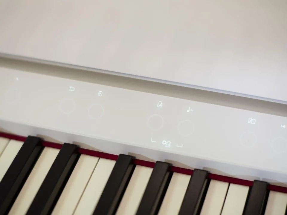 ROLAND LX-9 PW – Mặt sau và hệ thống dây đàn Roland