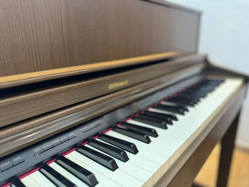 ROLAND LX-7 BW