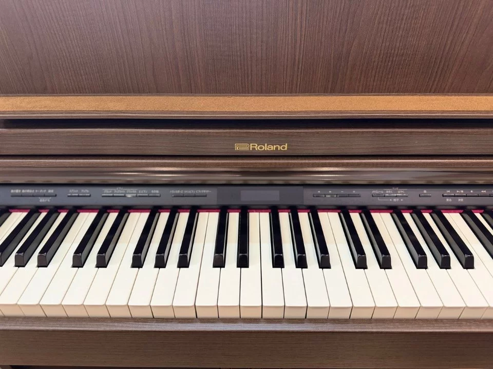 ROLAND LX-7 BW