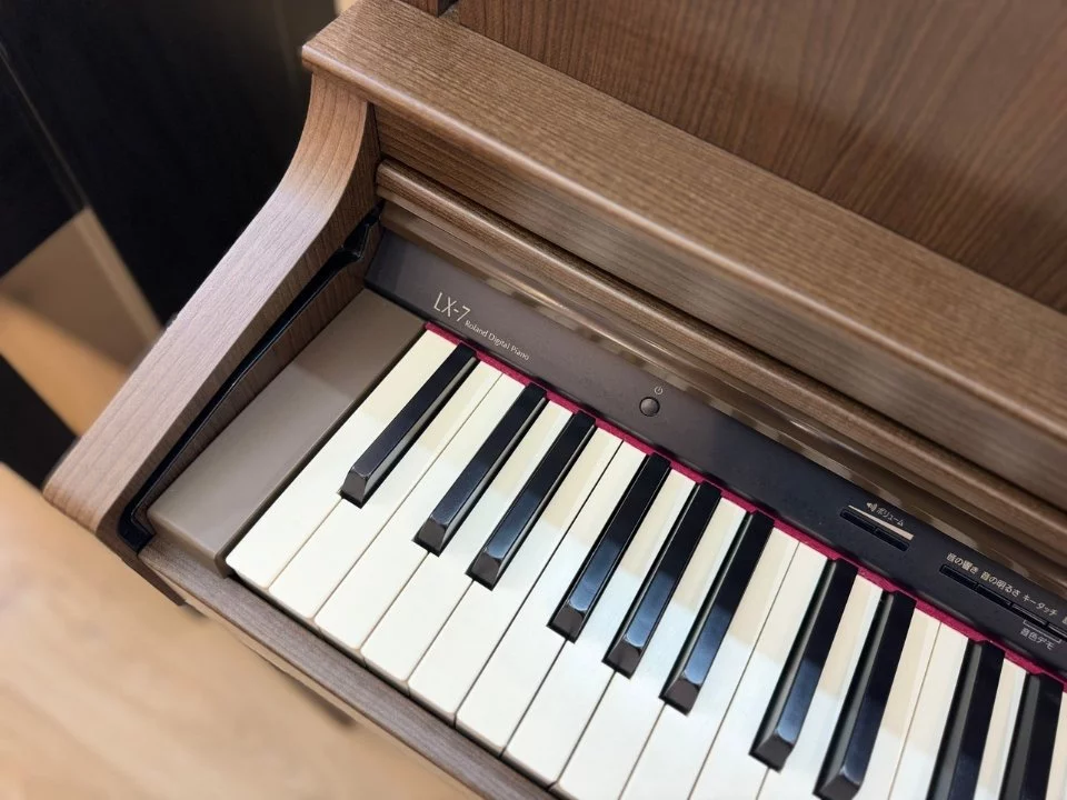 ROLAND LX-7 BW – Mặt sau và hệ thống dây đàn Roland