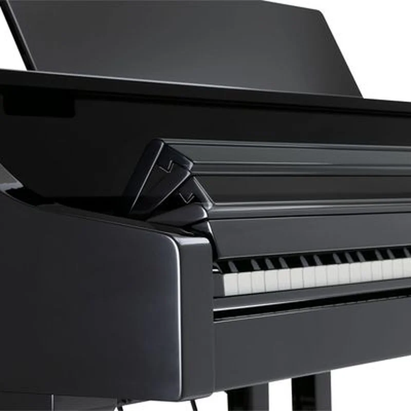 ROLAND RG-7F PE