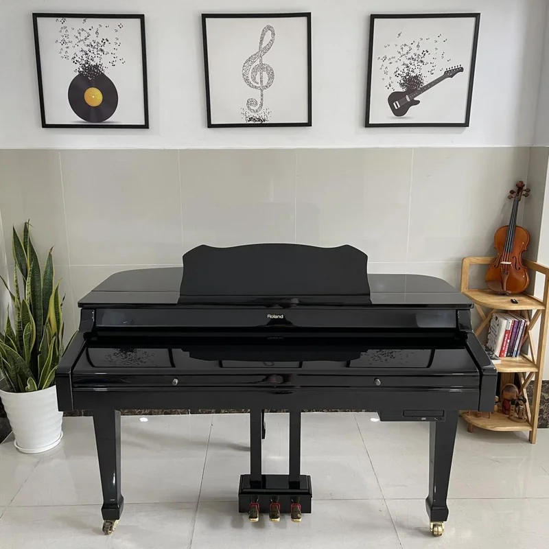 ROLAND RG-3F PE