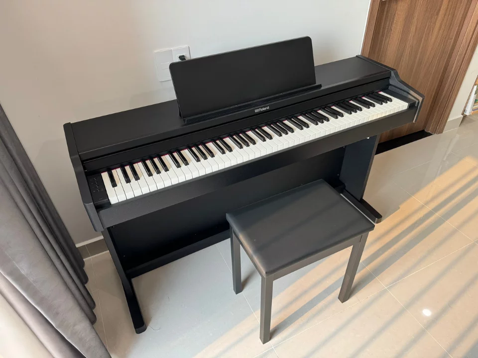 ROLAND RP-107