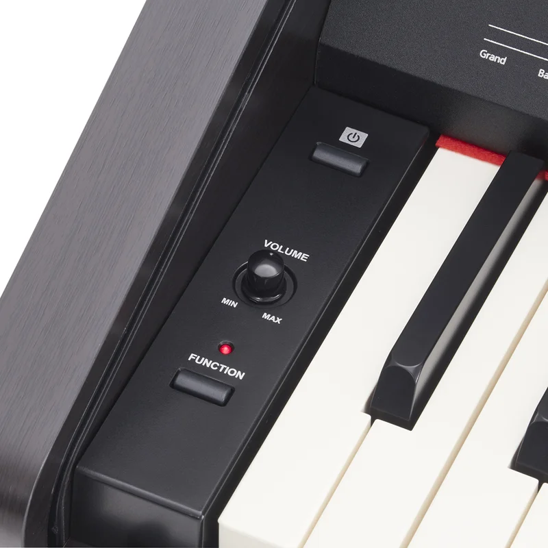 ROLAND RP-30 (USED)