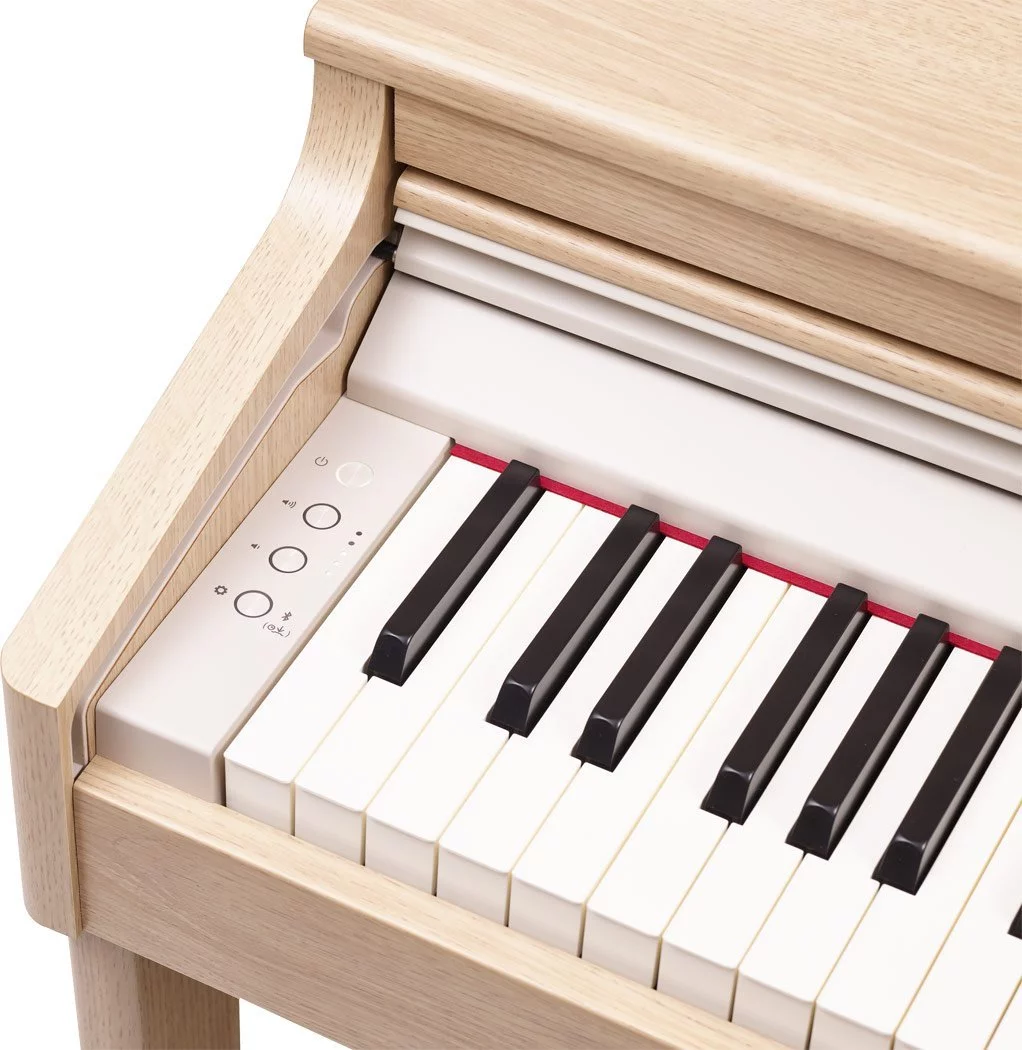 ROLAND RP-701 DR