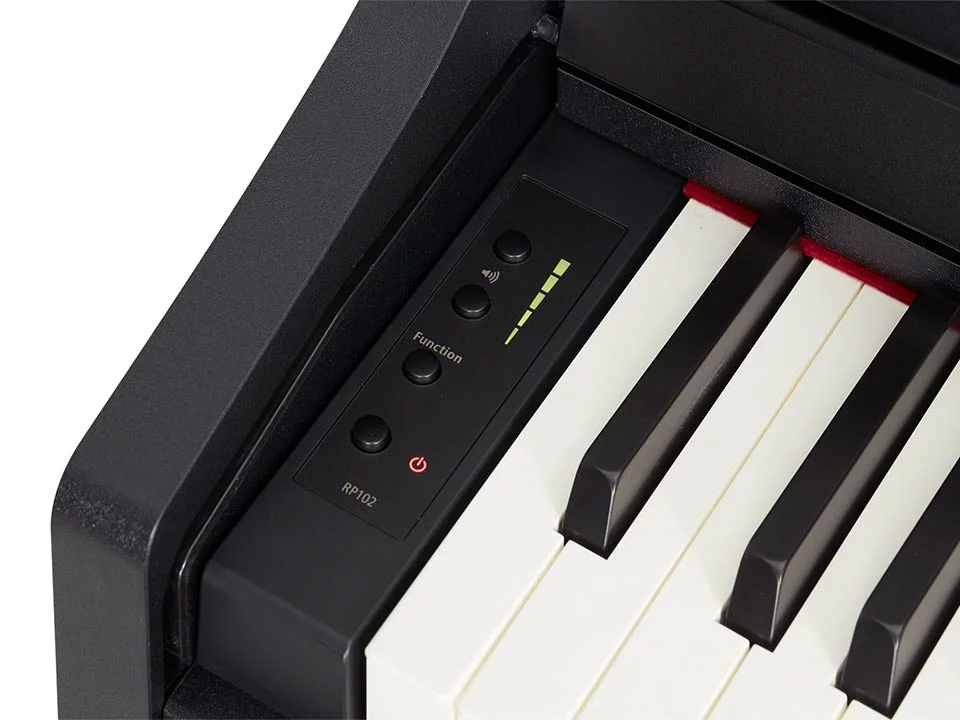 ROLAND RP-102