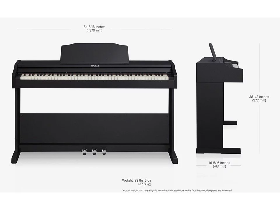 ROLAND RP-102