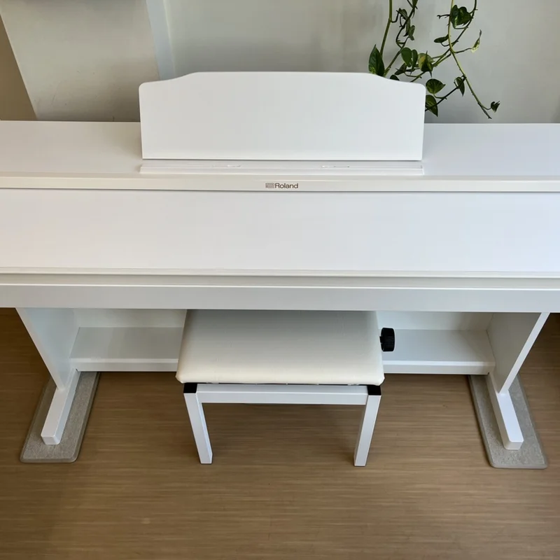 ROLAND RP-501R WH