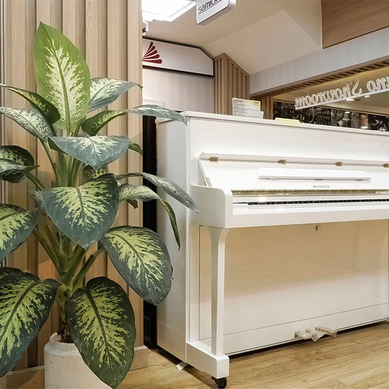 Review Samick JS115D EBHP – Hình ảnh thực tế tại showroom Elite Piano