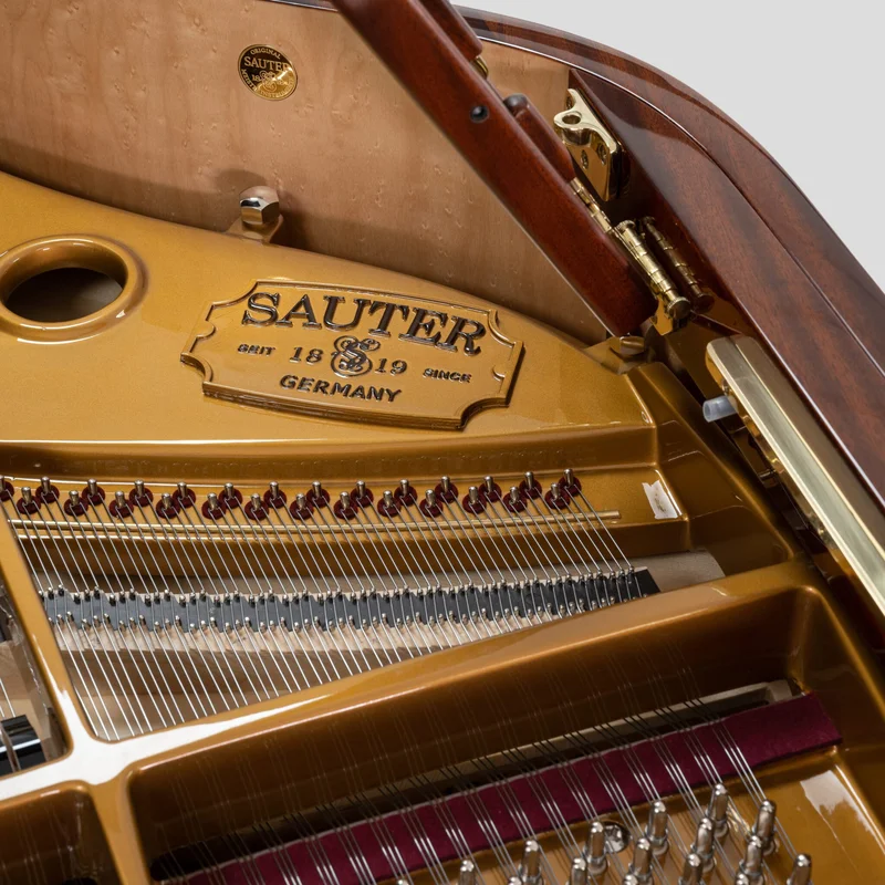 Sauter Alpha 160 Mahogany – Toàn cảnh thiết kế tại Elite Piano