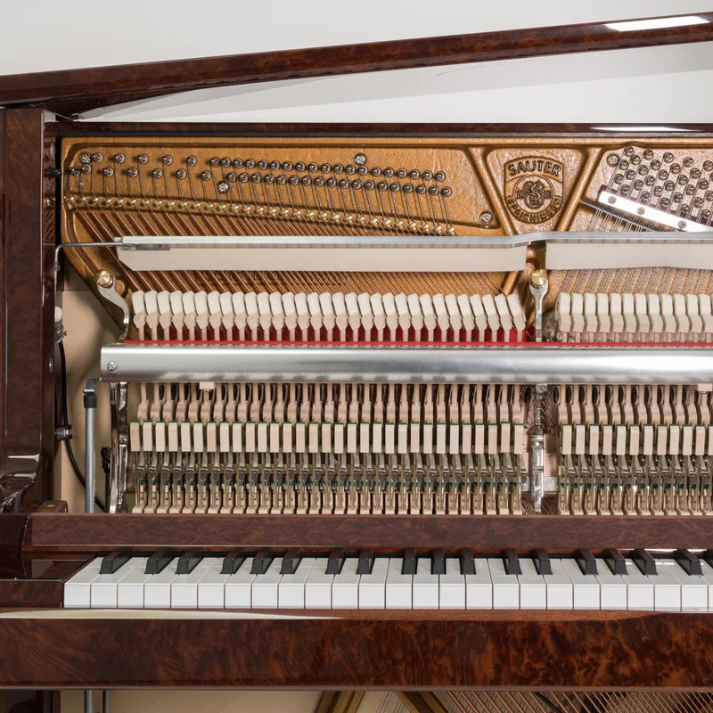 Review Sauter Artisan 124 – Hình ảnh thực tế tại showroom Elite Piano
