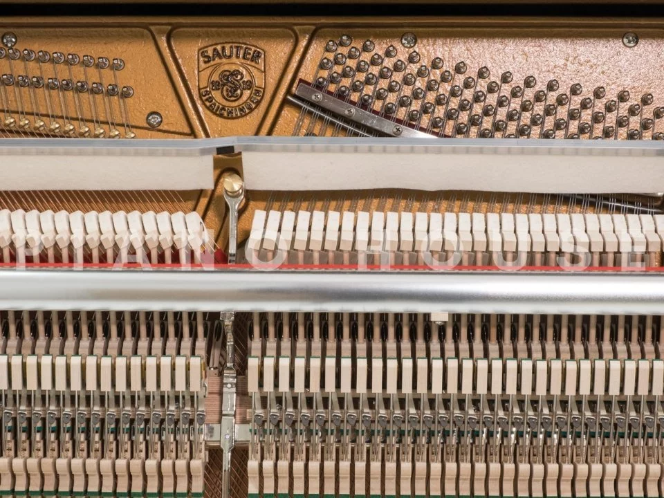 Sauter Carus 130 - Đàn Piano Sauter tại Elite Piano