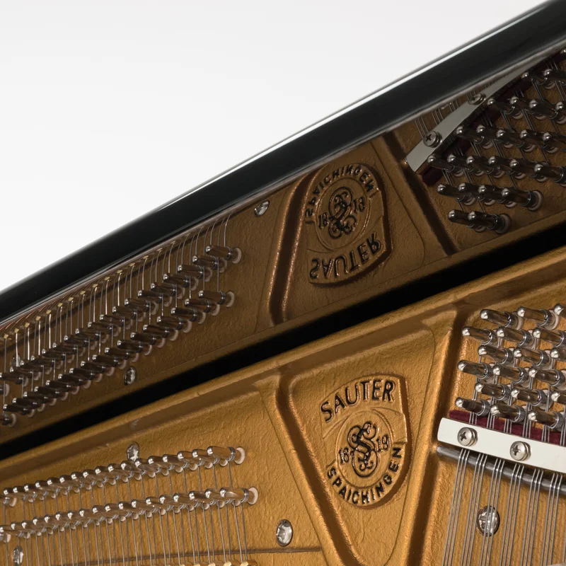 Review Sauter Carus 130 – Hình ảnh thực tế tại showroom Elite Piano