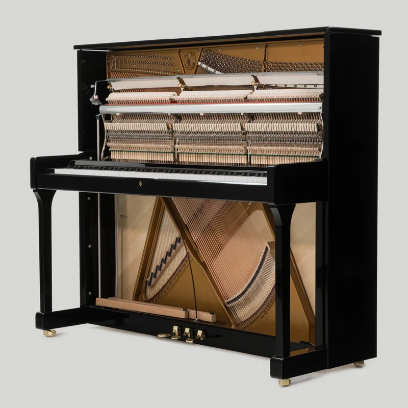 Sauter Carus 130