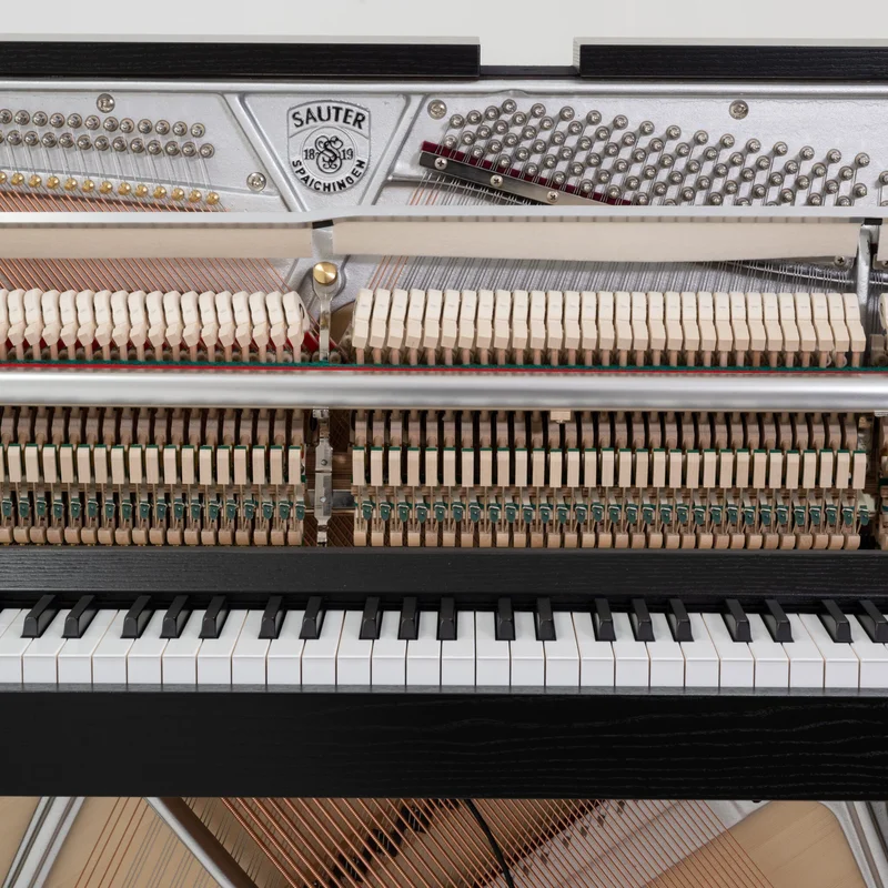 Sauter Concent 116 – Toàn cảnh thiết kế tại Elite Piano