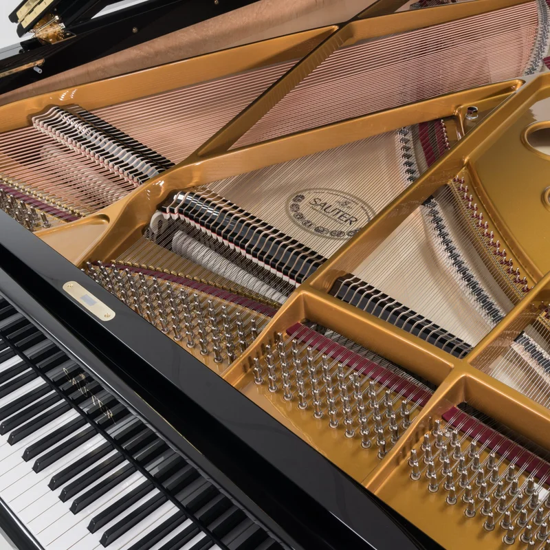 Sauter Delta 185 | Salon Grand Piano – Toàn cảnh thiết kế tại Elite Piano