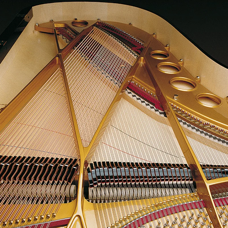 Review Sauter Omega 220 | Semi-Concert Grand Piano – Hình ảnh thực tế tại showroom Elite Piano