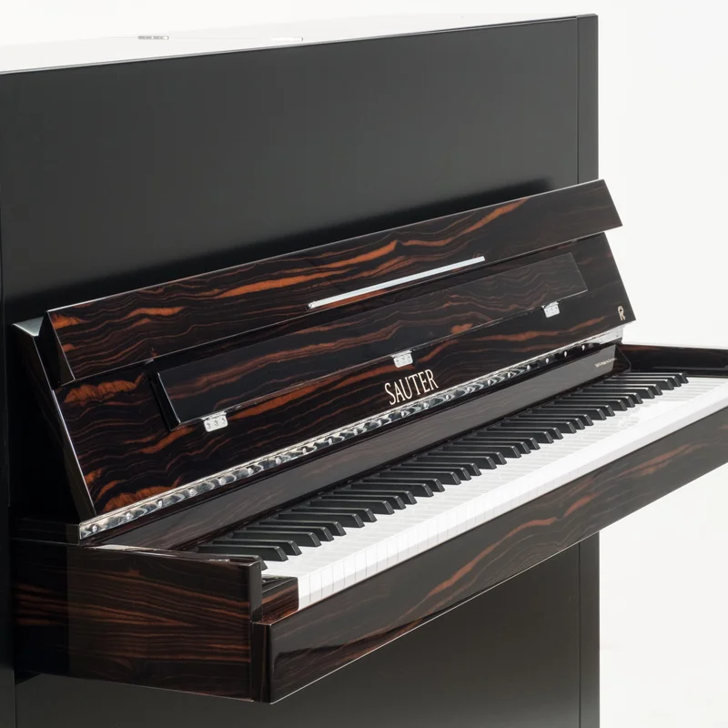Sauter Pure Basic (Black Matte & Walnut) – Toàn cảnh thiết kế tại Elite Piano