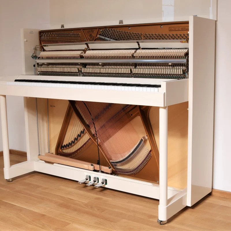 Sauter Vision 116 (White Polished)